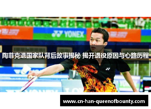 陶菲克退国家队背后故事揭秘 揭开退役原因与心路历程